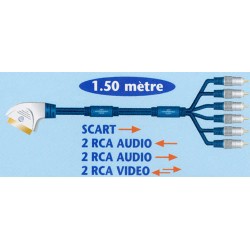 CORDON MALE BF 6 RCA / PRITEL 1m50